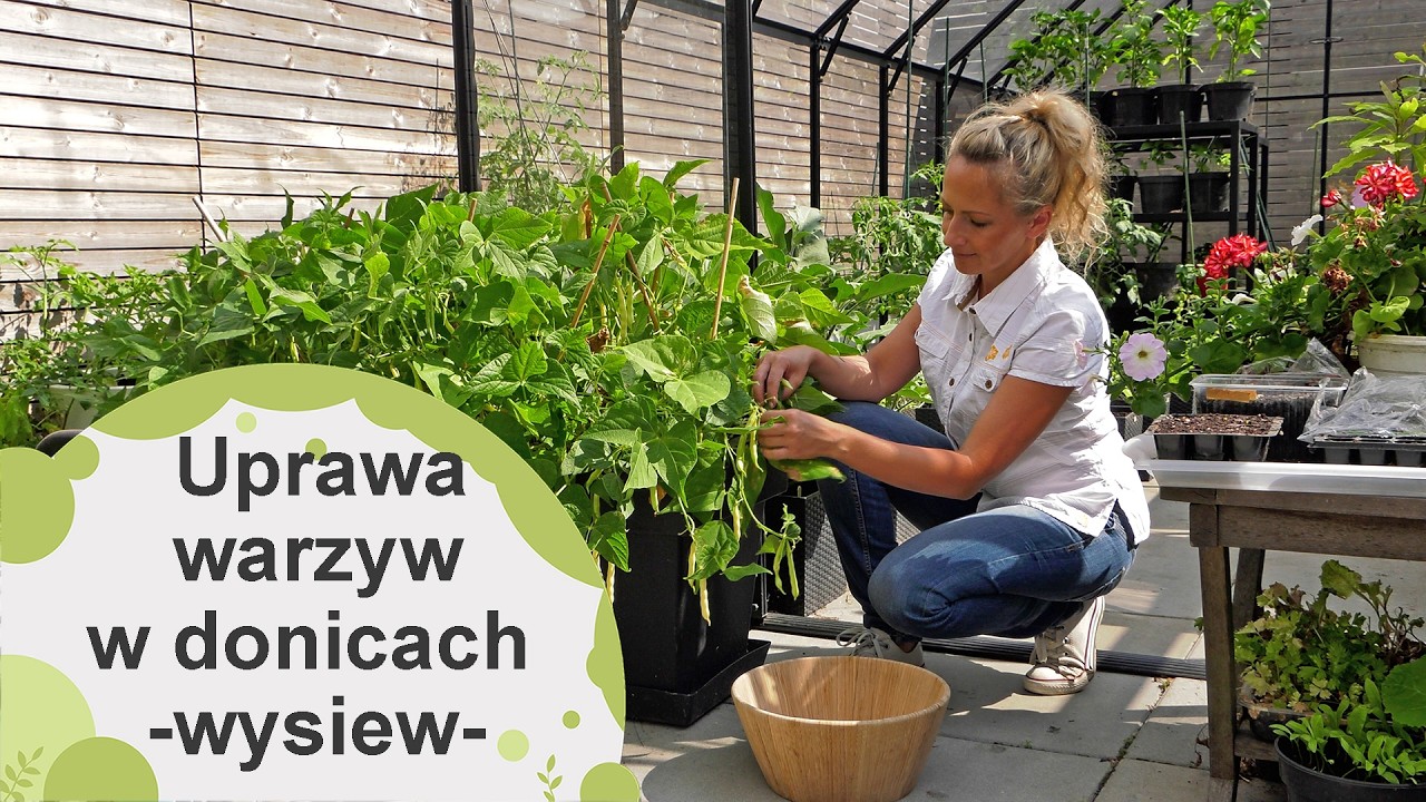 Jakie warzywa nadają się do uprawy w donicach?