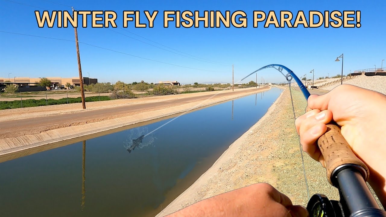 Fly Fishing a Winter Paradise (Dry Flies!)