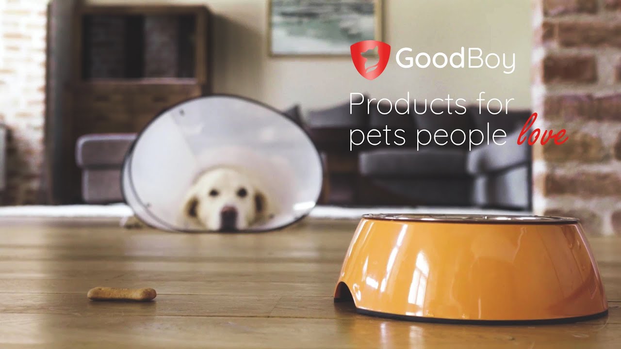 GoodBoy Comfortable Recovery E-Collar