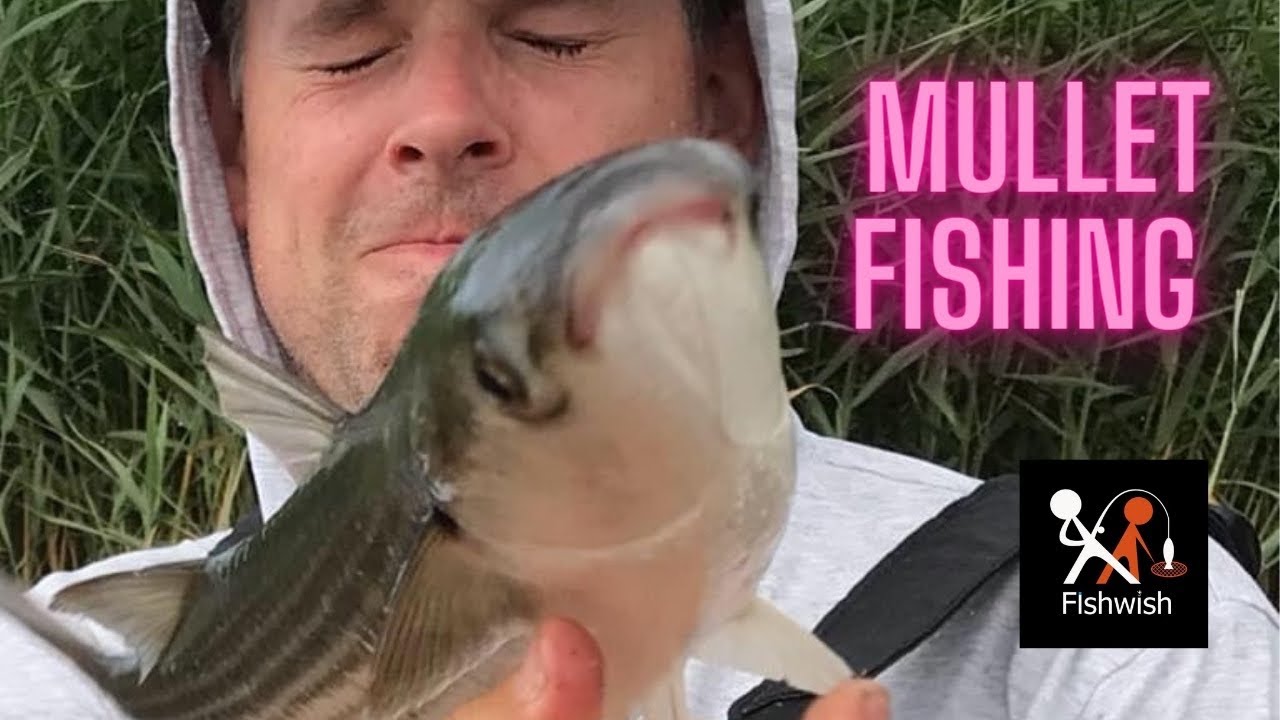 Top Secret Fishing Locations - Estuary Mullet Fishing in Christchurch Harbour