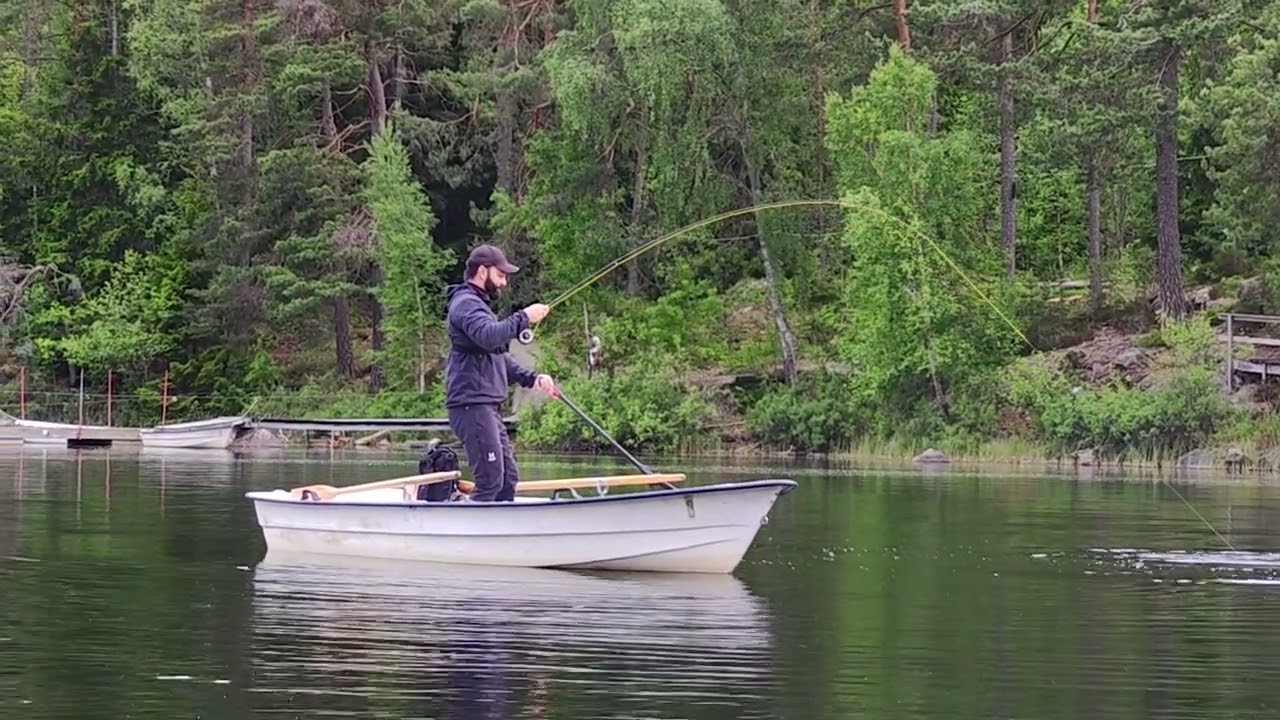 Regnbågsfiske med torrfluga! | Fiskefokus