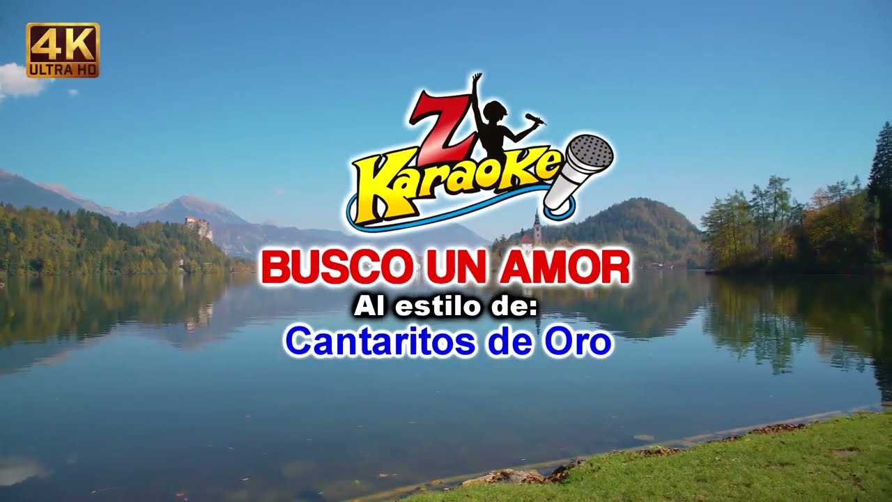 CANTARITOS DE ORO - BUSCO UN AMOR karaoke