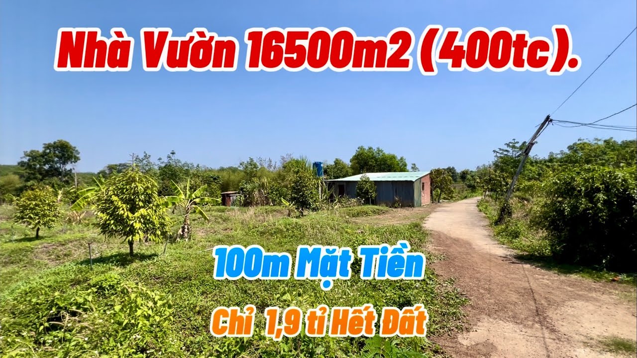 Bán Nhà Vườn Giá Rẻ. 100m Mặt Tiền. 1,65ha có 400m2 Thổ Cư. Chủ giảm giá mạnh chỉ 1,9 tỉ.