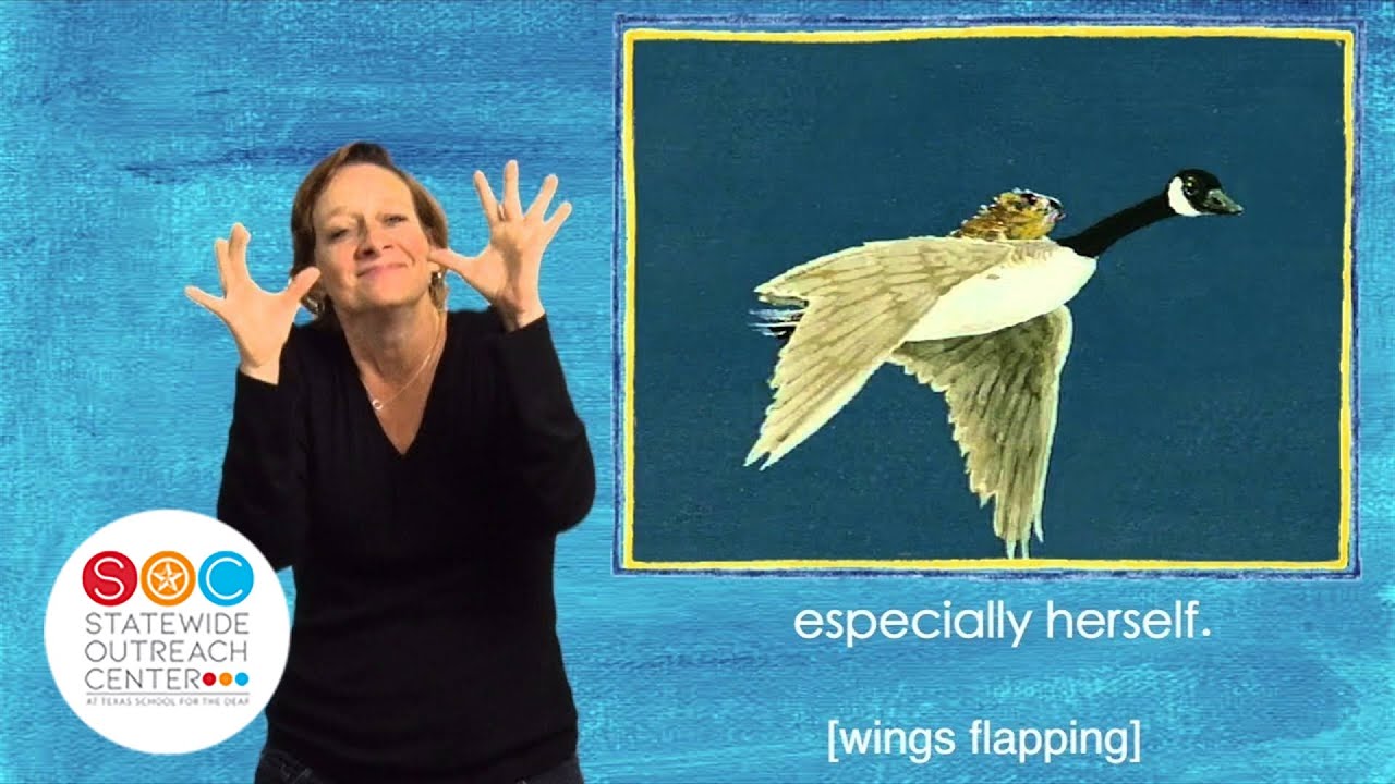 ASL Storytelling - Goose