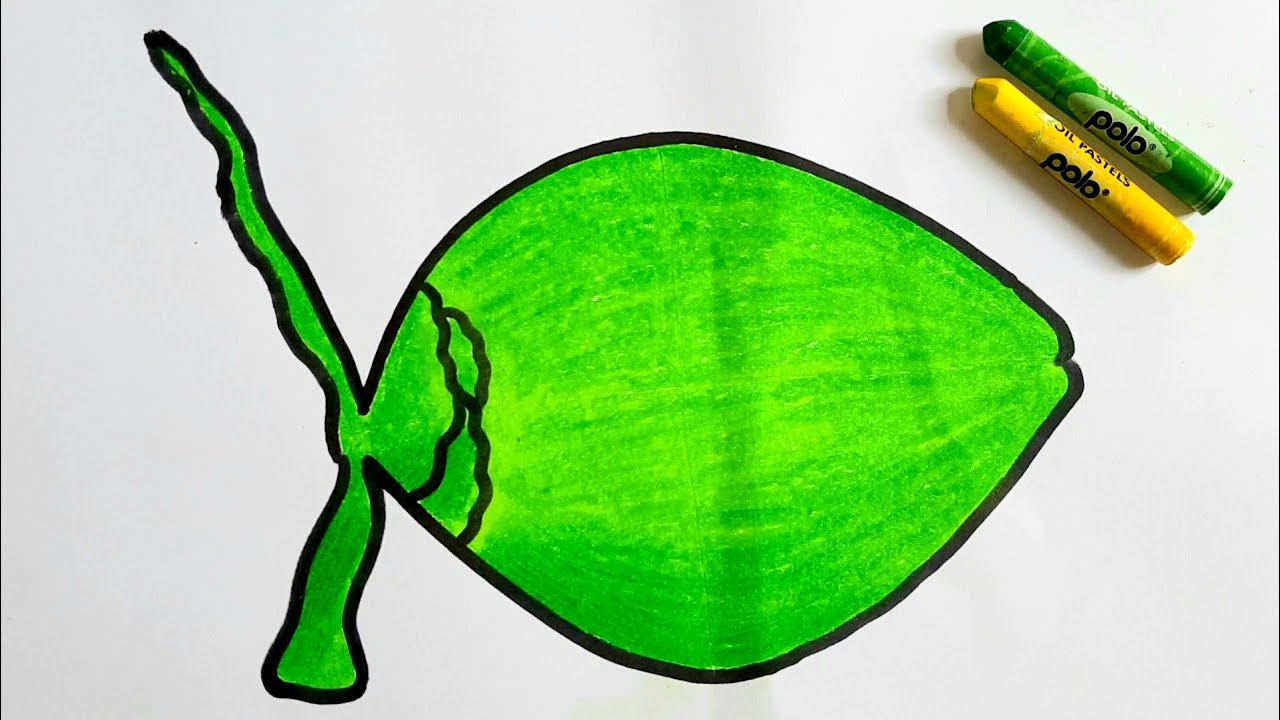GREEN COCONUT🥥 DRAWING/ডাব আঁকার সহজ কৌশল/PASTEL COLOUR DRAWING FOR KIDS/