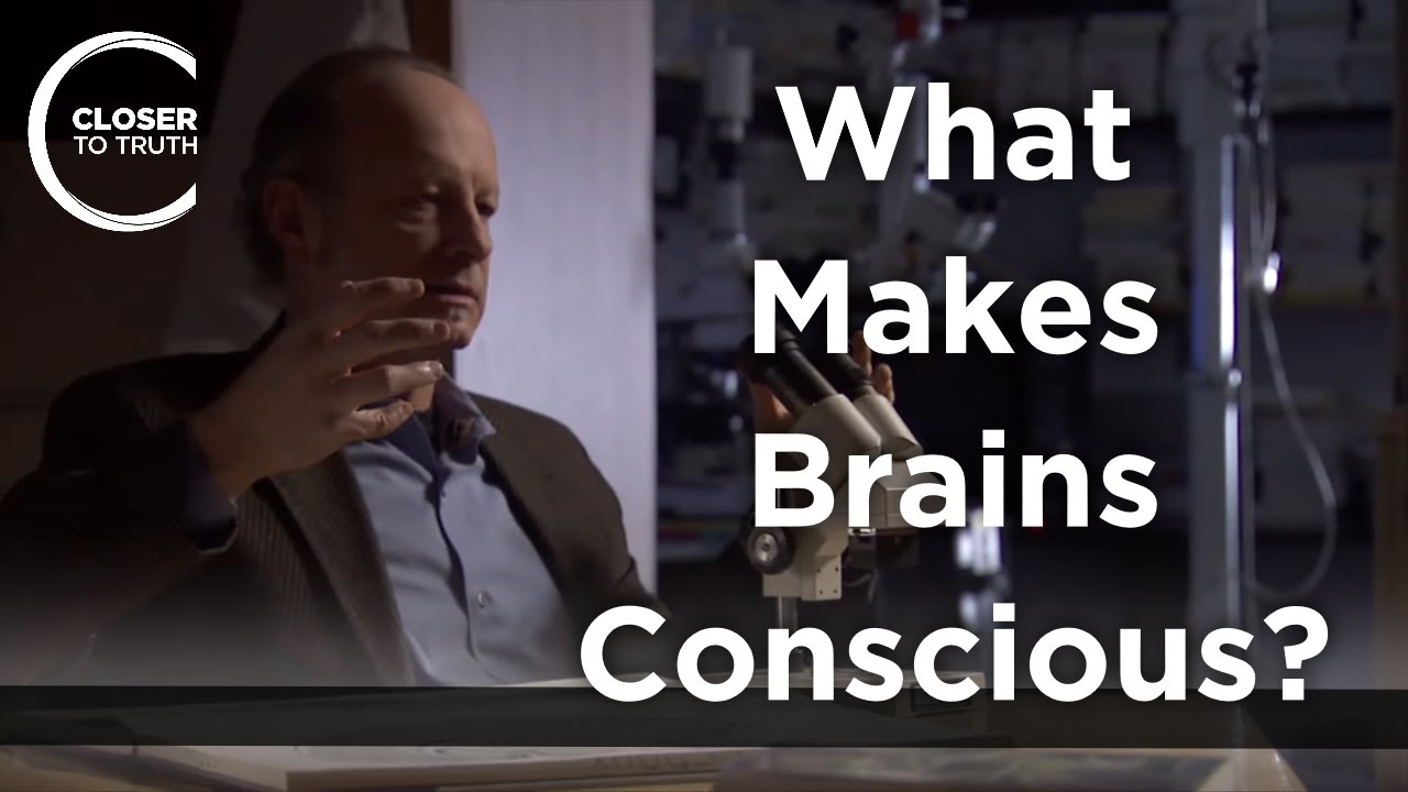 Joseph LeDoux - What Makes Brains Conscious?