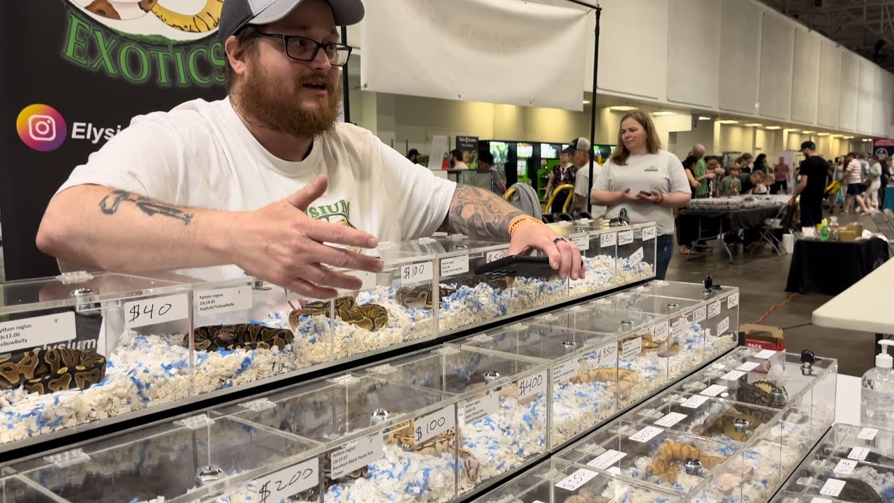 Toronto Reptile Expo 🦎