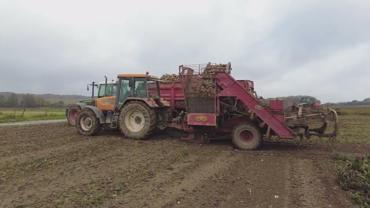 Arrachage de betteraves avec un chantier décomposé (SAME/Renault/MF/Fendt Favorit816)