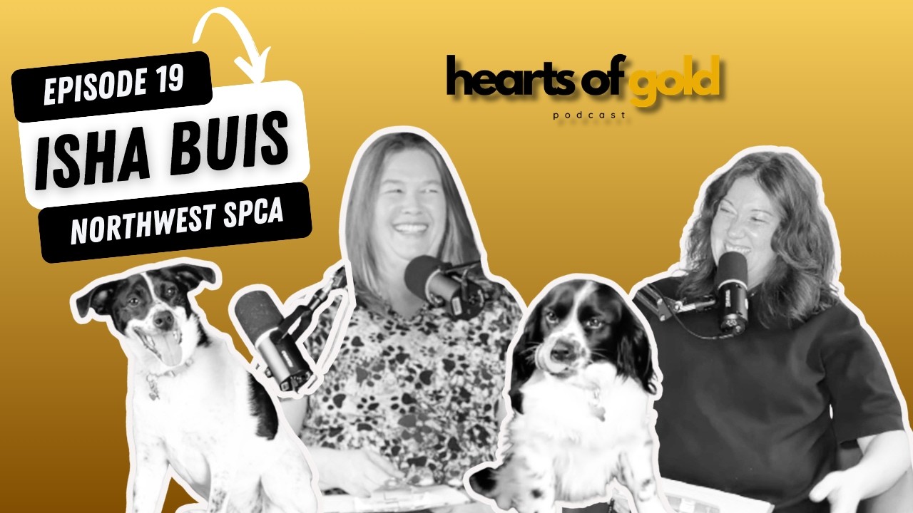 Compassion in Action: The Heart Behind NWSPCA 🐾
