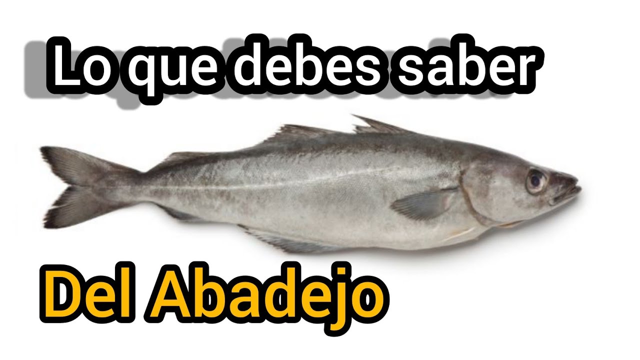 &iexcl;Abadejo! lo que debes de saber sobre el Abadejo.