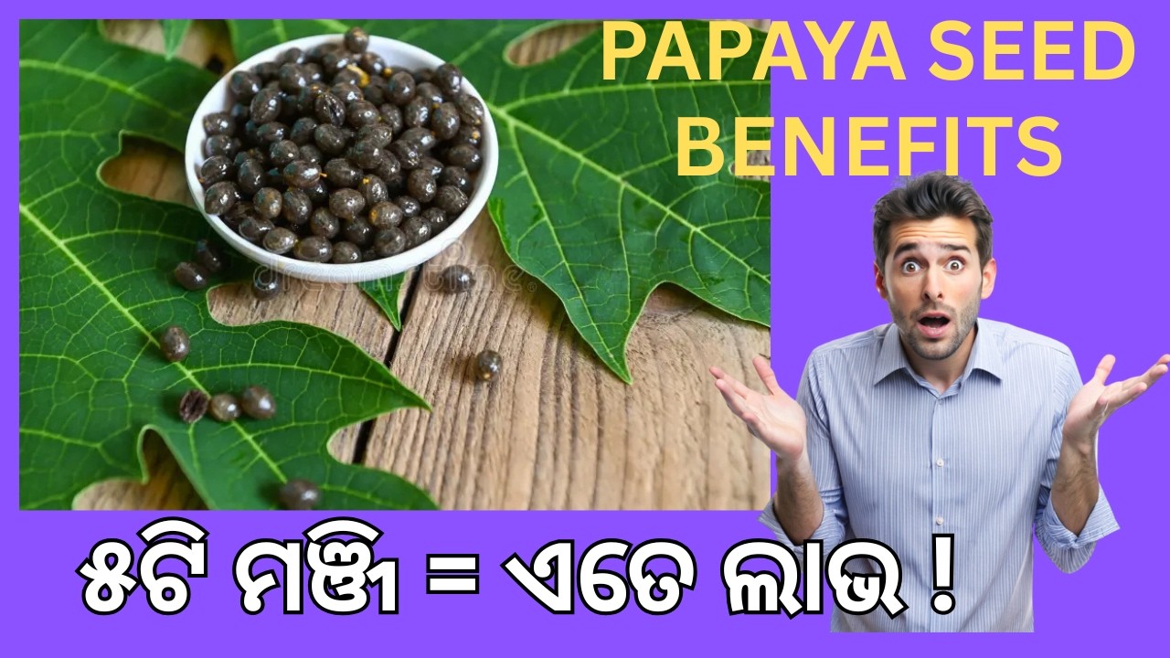 ଅମୃତଭଣ୍ଡା ମଞ୍ଜି ର ଅଦ୍ଭୁତ ଉପକାର ||  6 Benefits Of Papaya Seed || Carica papaya