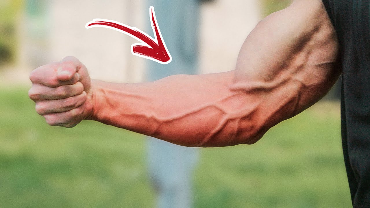 5 MIN FOREARMS Workout! Only Bodyweight Exercises