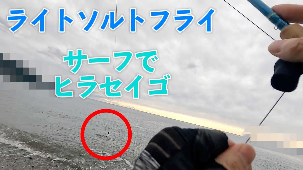 【フライフィッシング】ライトソルトフライ４番でヒラセイゴ（スズキ）が入れ食い！