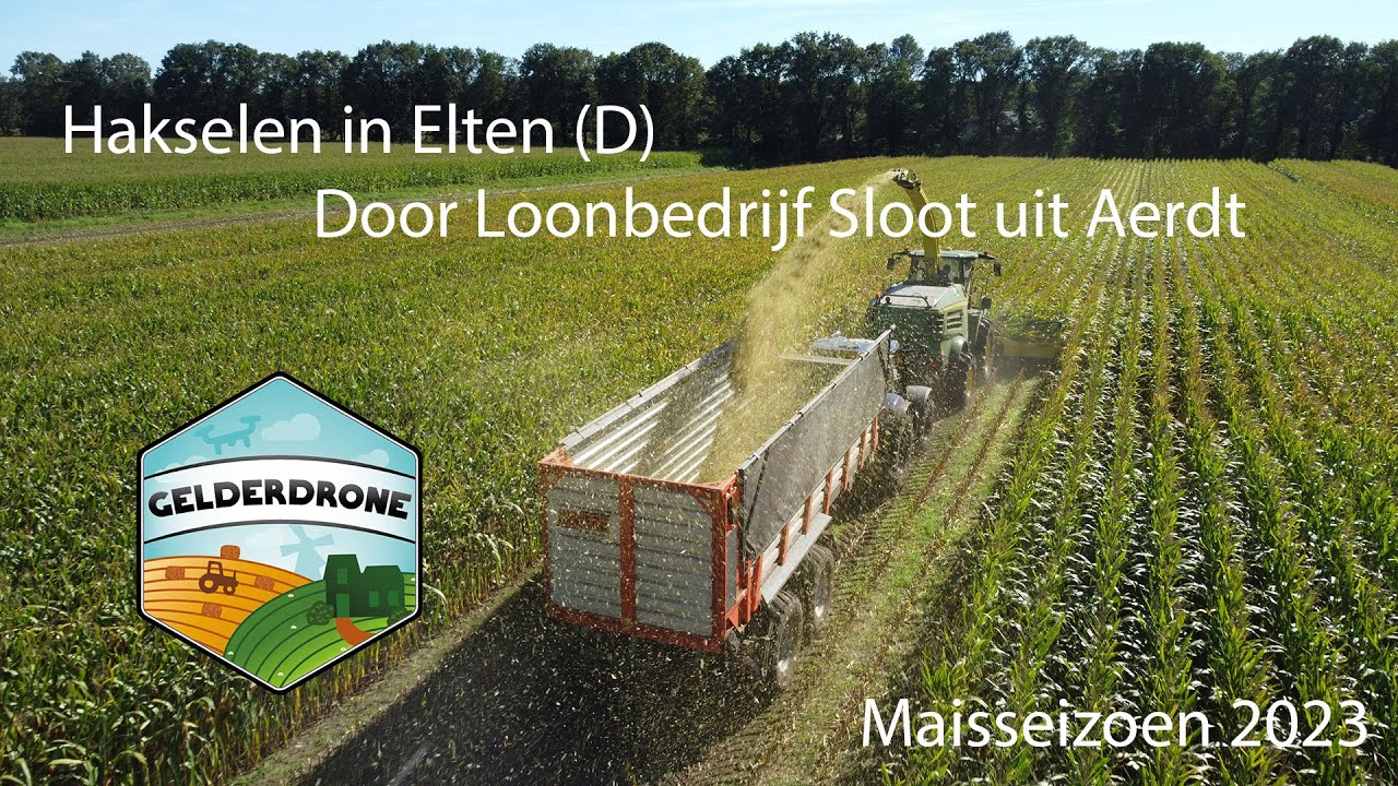 Maisseizoen 2023 | Hakselen in Elten door Loonbedrijf Sloot uit Aerdt