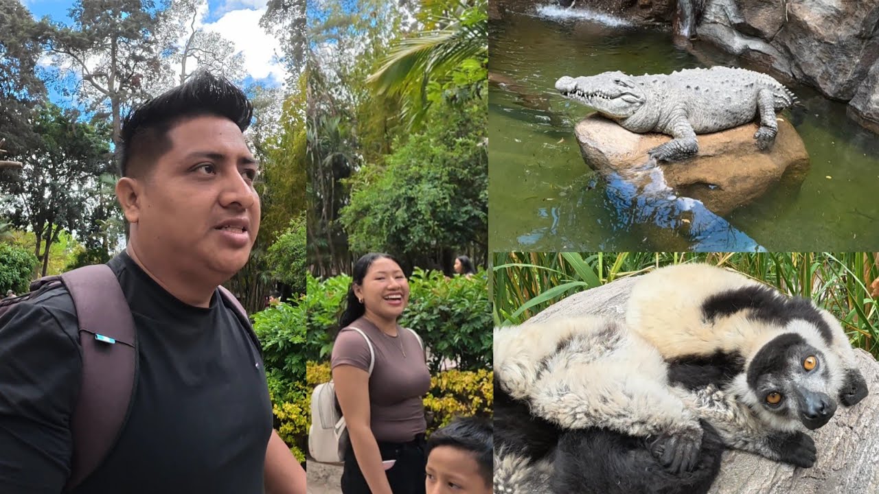Conociendo El Zool&oacute;gico de Guatemala, Casi puedes tocar a los animales 😨