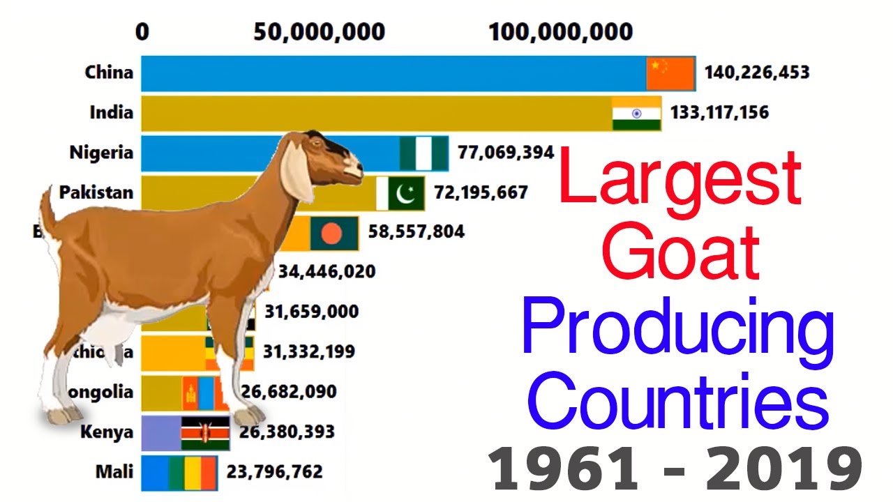 Goat I Top Goat Livestock Countries I World's Largest  Goat Meat Producing Countries I Statistics