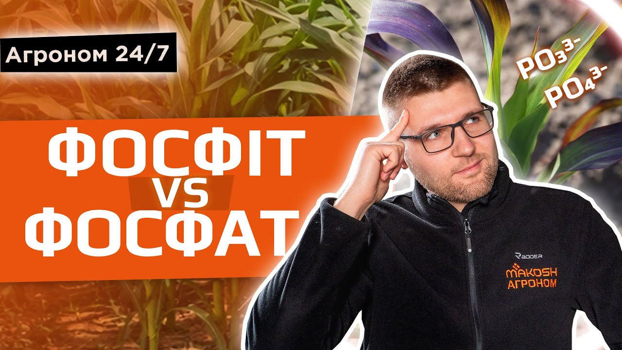 Чому фосфіт не може замінити ФОСФАТ?