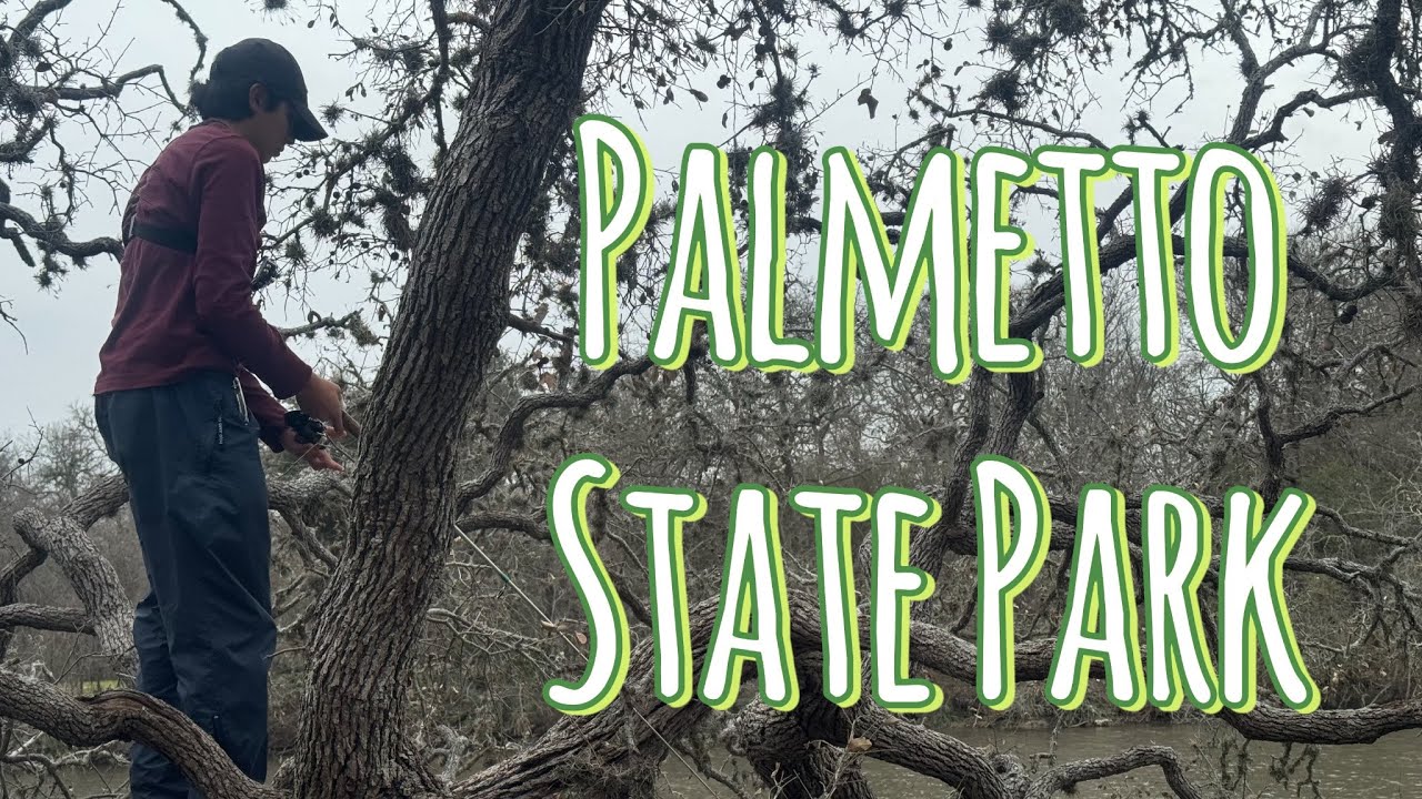 Palmetto State Park Review PT.1