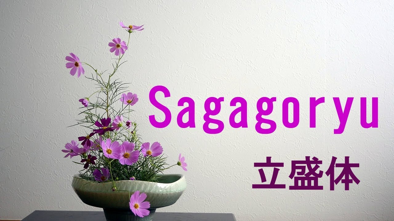 【生け花】コスモスだけで立盛体【ikebana】嵯峨御流の基本！秋編