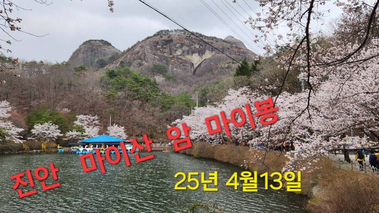 진안 마이산  암 마이봉.25년4월 13일