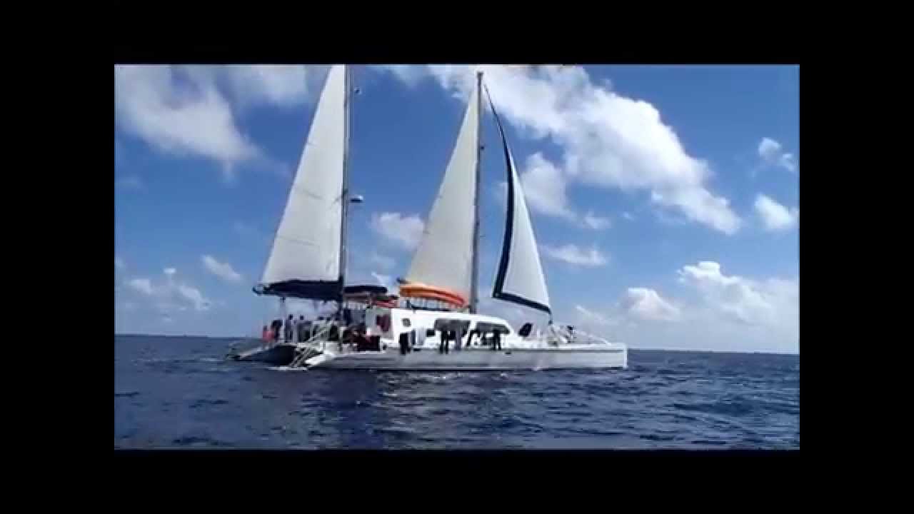 Diver City SCUBA aboard the Cat Ppalu Feb 8-14, 2014