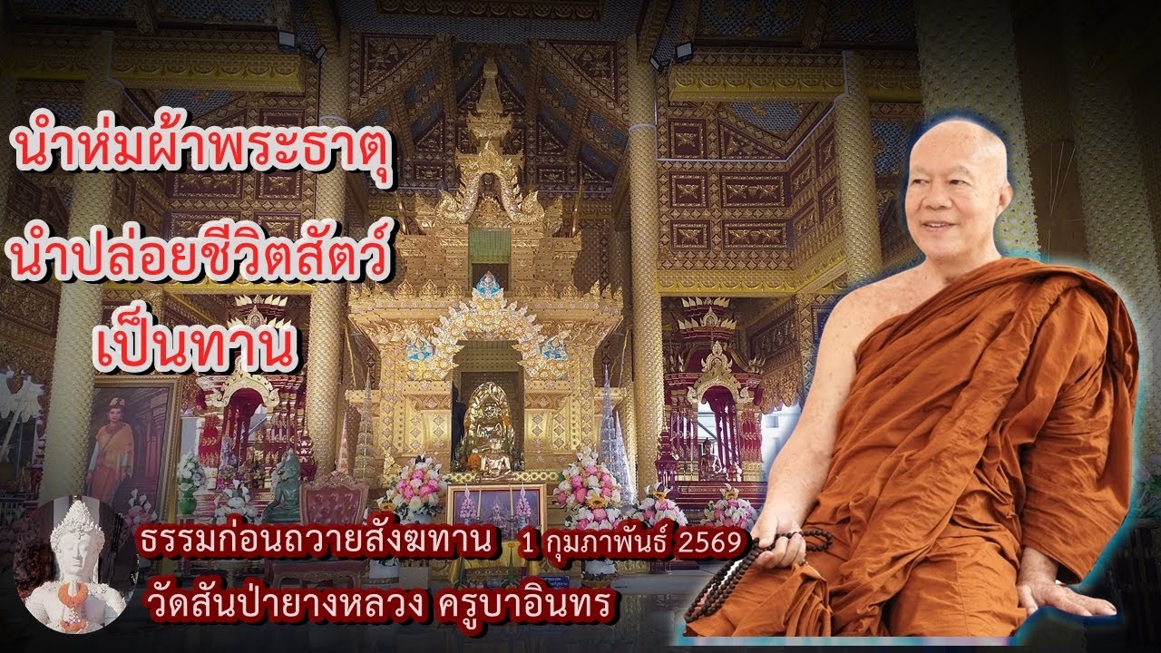 ธรรมก่อนถวายสังฆทาน 1 กุมภาพันธ์ 2569 วัดสันป่ายางหลวงครูบาอินทรฯ Kruba Intorn