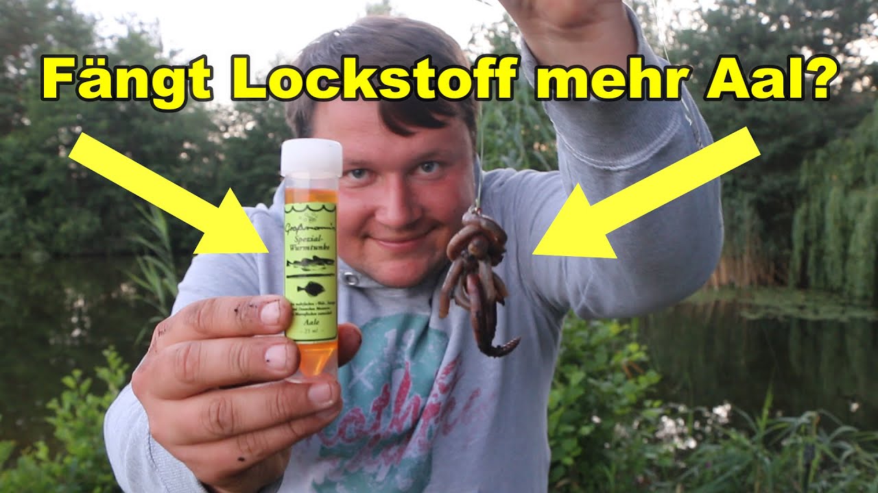 Wir decken auf! F&auml;ngt Lockstoff mehr Aal? Von Welt und Europameistern entwickelt! Mit Livebiss!