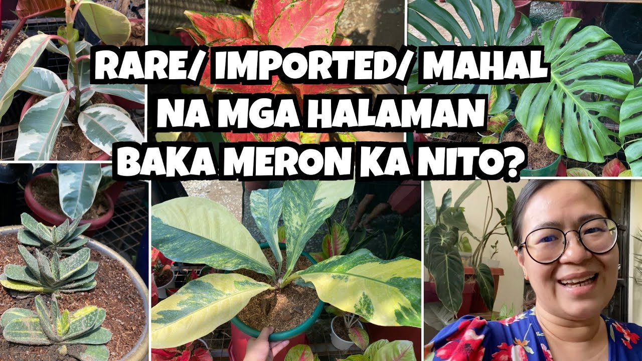 RARE/ IMPORTED/ MAHAL NA HALAMAN NA NAKITA KO