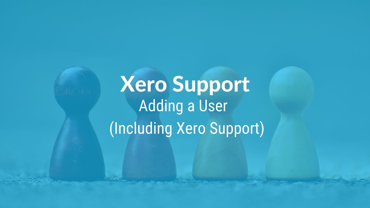 Xero Support: Adding  a User (Including Xero Support)
