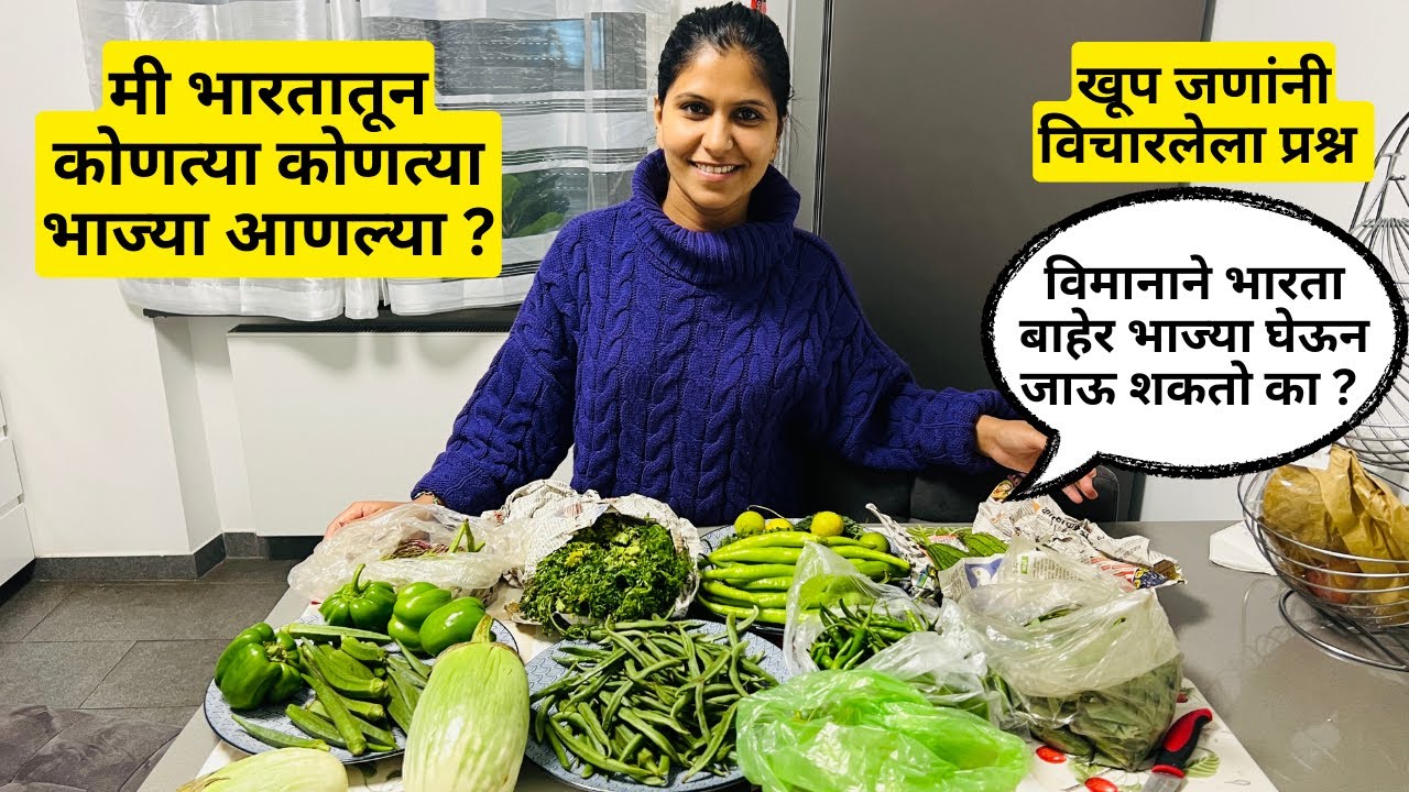 मी भारतातून कोणत्या कोणत्या भाज्या आणल्या ? | विमानाने भारता बाहेर भाज्या घेऊन जाऊ शकतो का ? #601