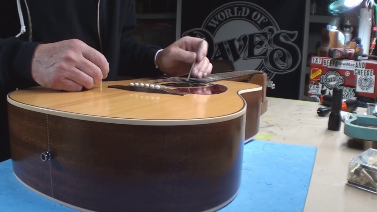 Seagull Guitar Does Not Fly