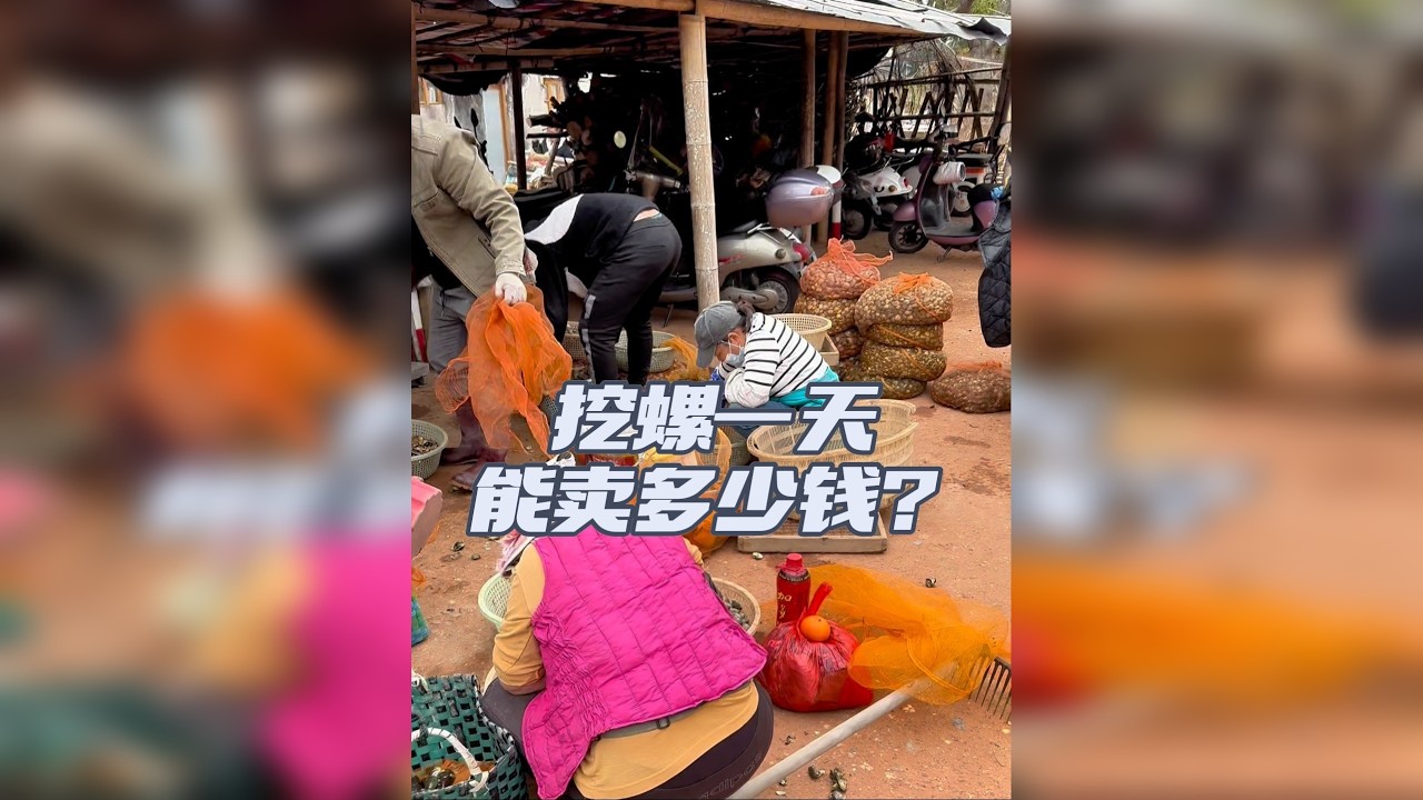 走了5公里深海区只鸭了这么一点点螺！猜猜挖螺一天能卖多少钱？
