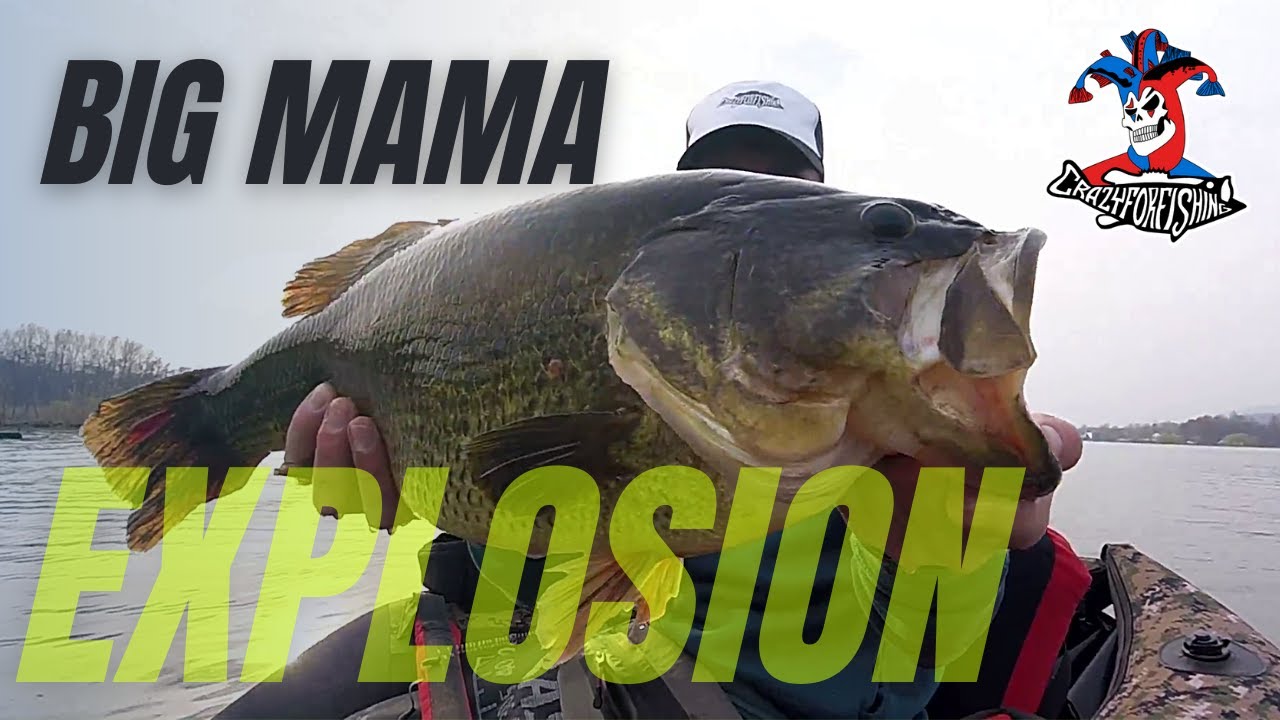 Big Mama Explosion!  Pre-Spawn Bass Fishing