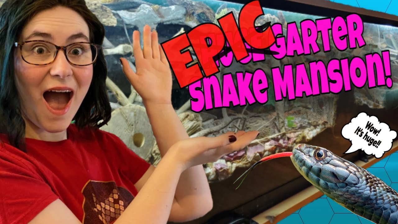 EPIC Garter Snake Upgrade - Vivarium & Lighting System You Won't Believe!!