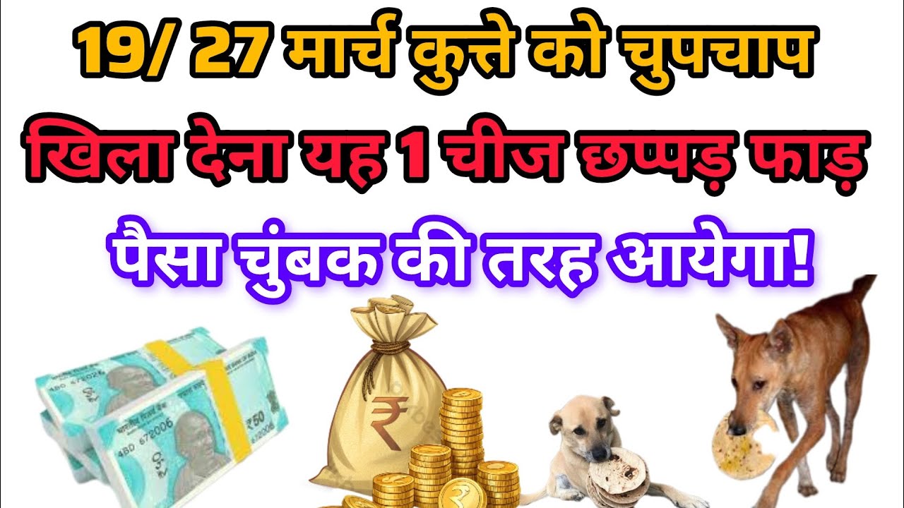 19/ 27 मार्च कुत्ते को चुपचाप खिला देना यह 1 चीज छप्पड़ फाड़ पैसा चुंबक की तरह आयेगा! सनातन शास्त्र 