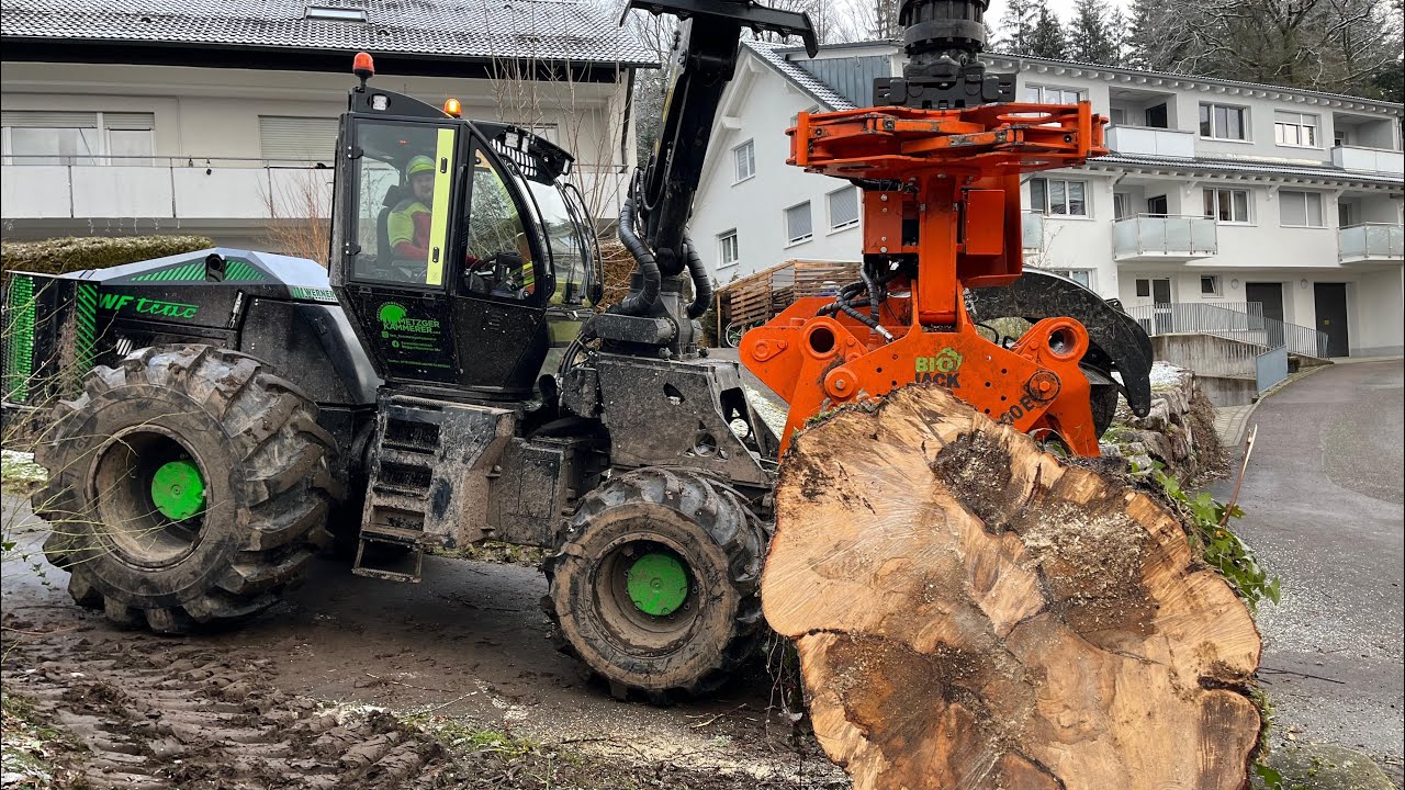 Wf-trac 2865 mit Biojack 300E am Baum abtragen