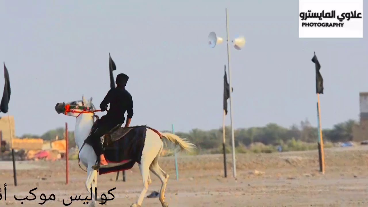 لاتفوتك كواليس موكب أئمة البقيع الحسيني لا واقعت الطف الكبرى