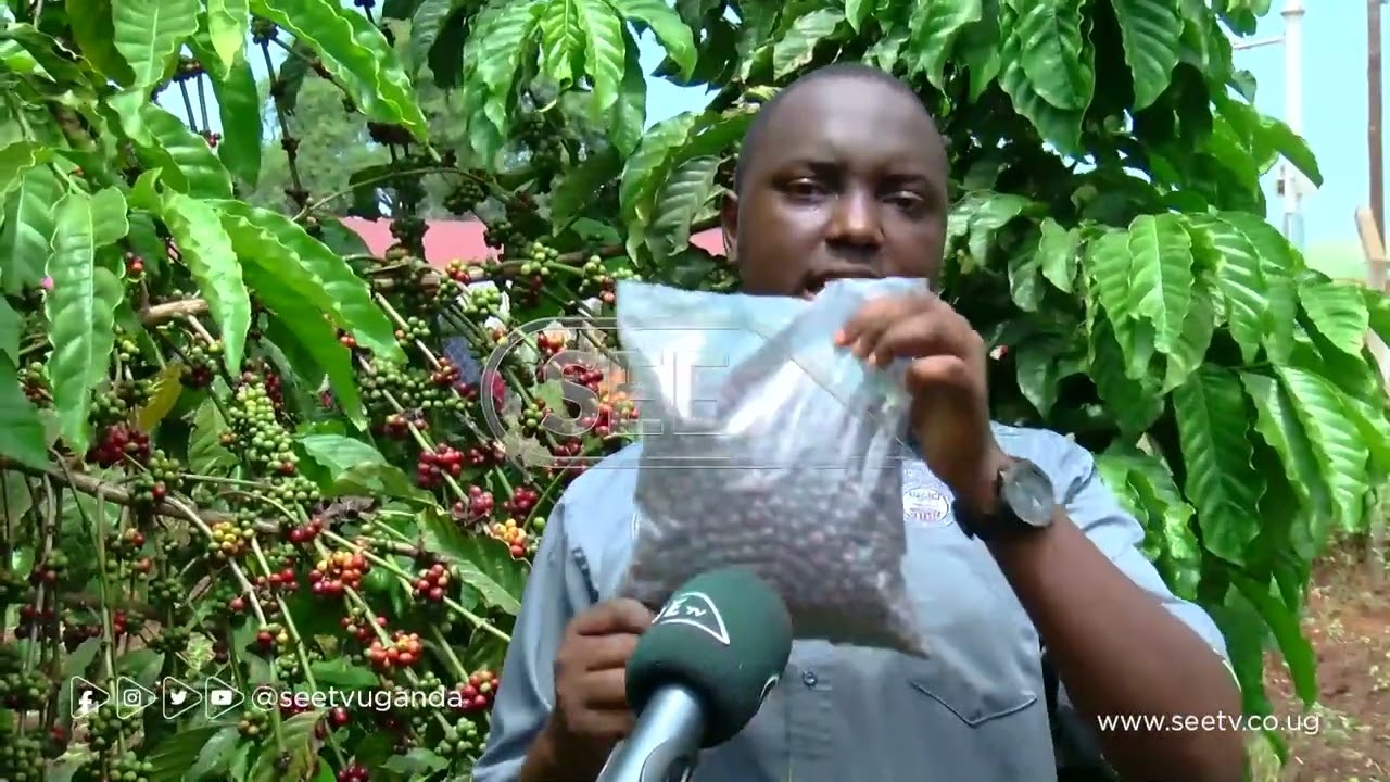 Abalimi b'emwanyi balina okukola ku mutindo okusoola okufuna akatale