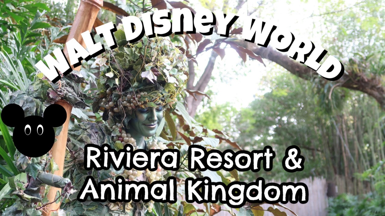 Disney's Riviera Quick Service Restaurant & Animal Kingdom | Winged Encounters & Seeing Devine