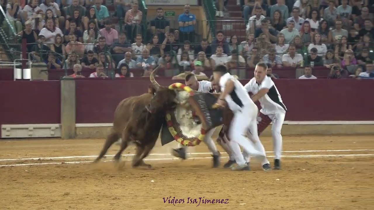 Concurso de roscaderos Zaragoza 11/10/2023 - GALLUR - HD
