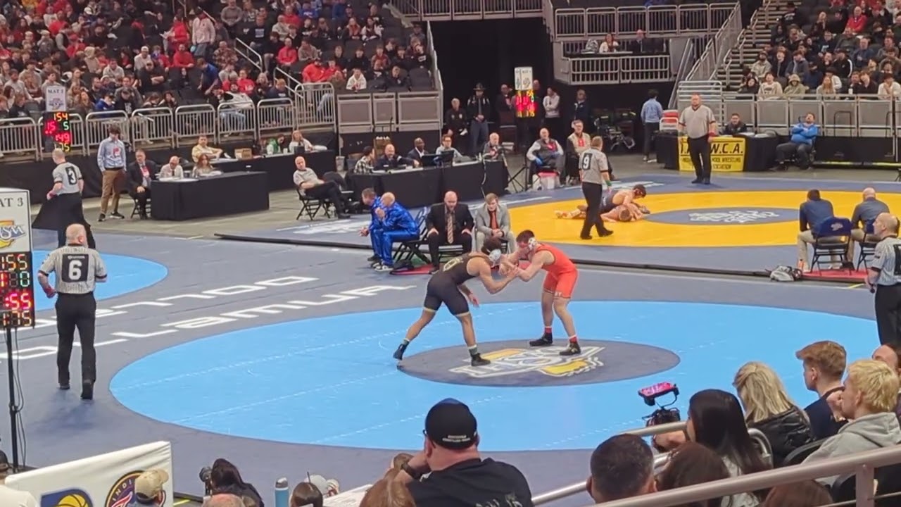 Vinny Freeman v Lincoln Cooper