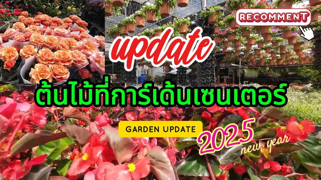 รวมร้านต้นไม้ ของแต่งสวนแต่งบ้าน ที่ตลาดการ์เด้นเซนเตอร์ 2025