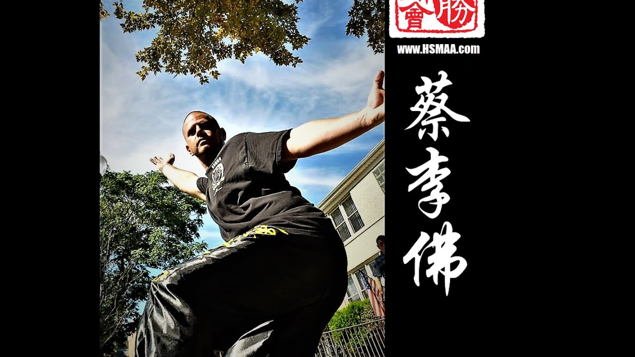 Choy Lay fut Complete Combat Theory- Role of Forms: part 1
