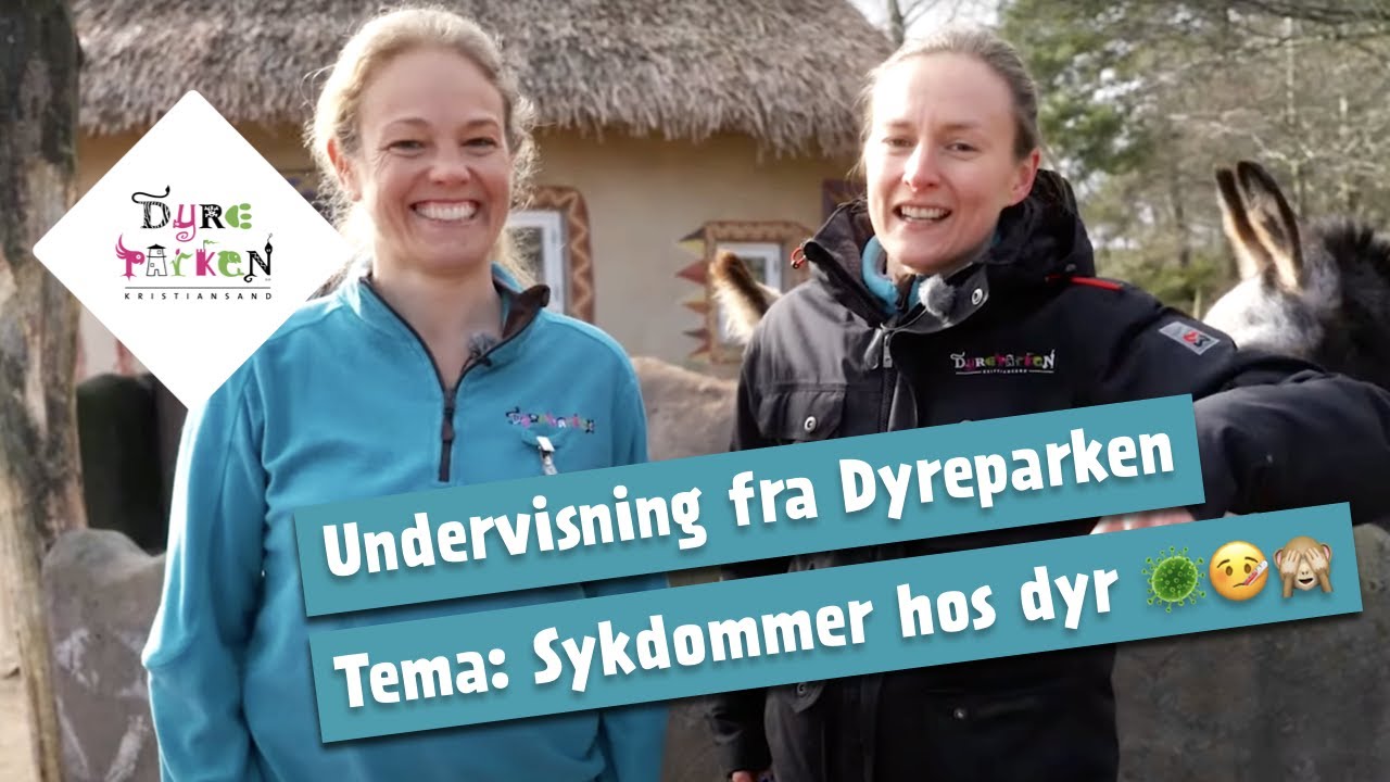 Undervisning fra Dyreparken: Sykdommer hos dyr 🦠🤒🙈