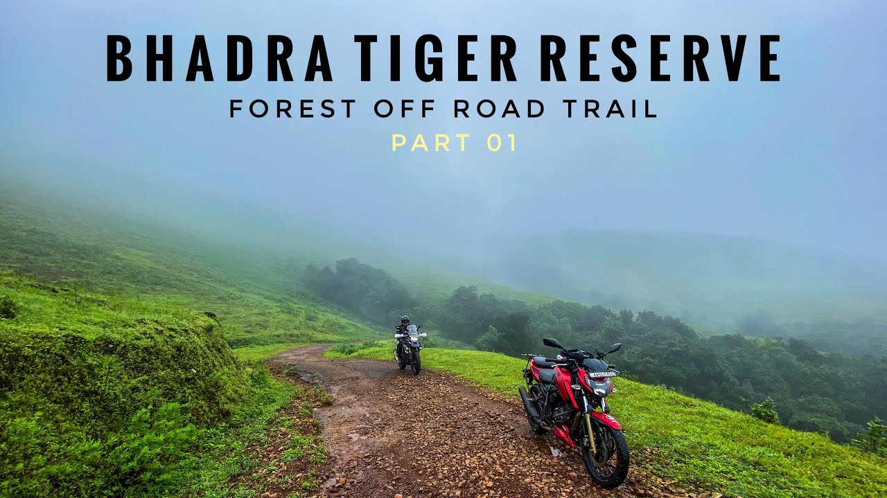 Riding In Dense WESTERN GHAT FOREST 🔥 | BMW G 310 GS | Tamil MotoVlog