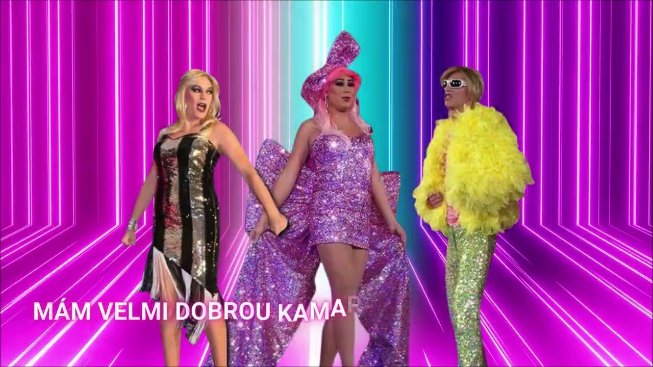 Mám velmi dobrou kamarádku - Divoké kočky
