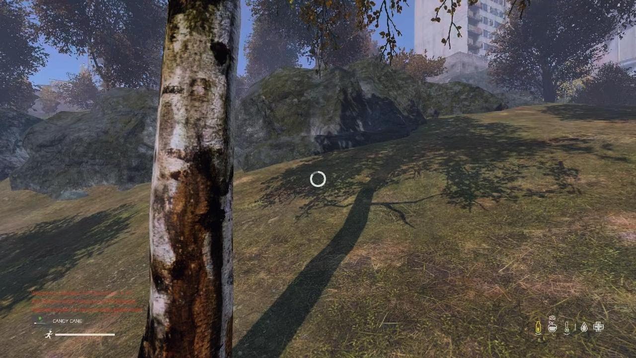 DayZ_20260303132627