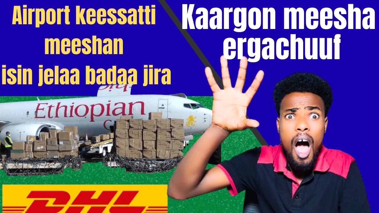 Meesha kaargon (Cargoo)n Gara Itoophiya ergachuuf.
