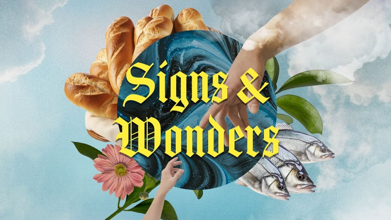 Signs & Wonders: When I Move You Move