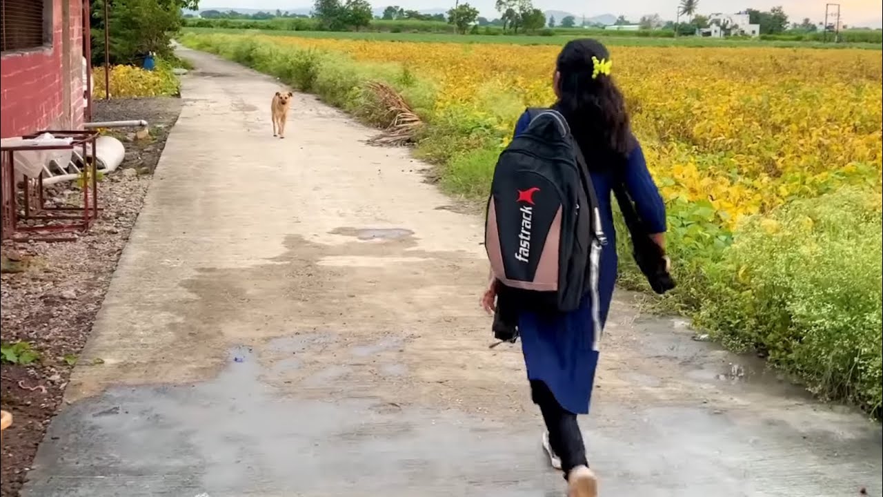 शाळेत जायचं नाही म्हणून माऊली लपून बसला 🫢